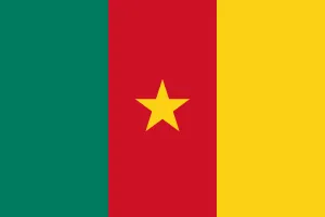 Drapeau du Cameroun avec bandes verte, rouge et jaune, étoile au centre.