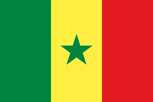 Drapeau du Sénégal avec bandes vert, jaune, rouge et étoile verte.